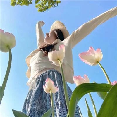 汪汪队立大功第四季